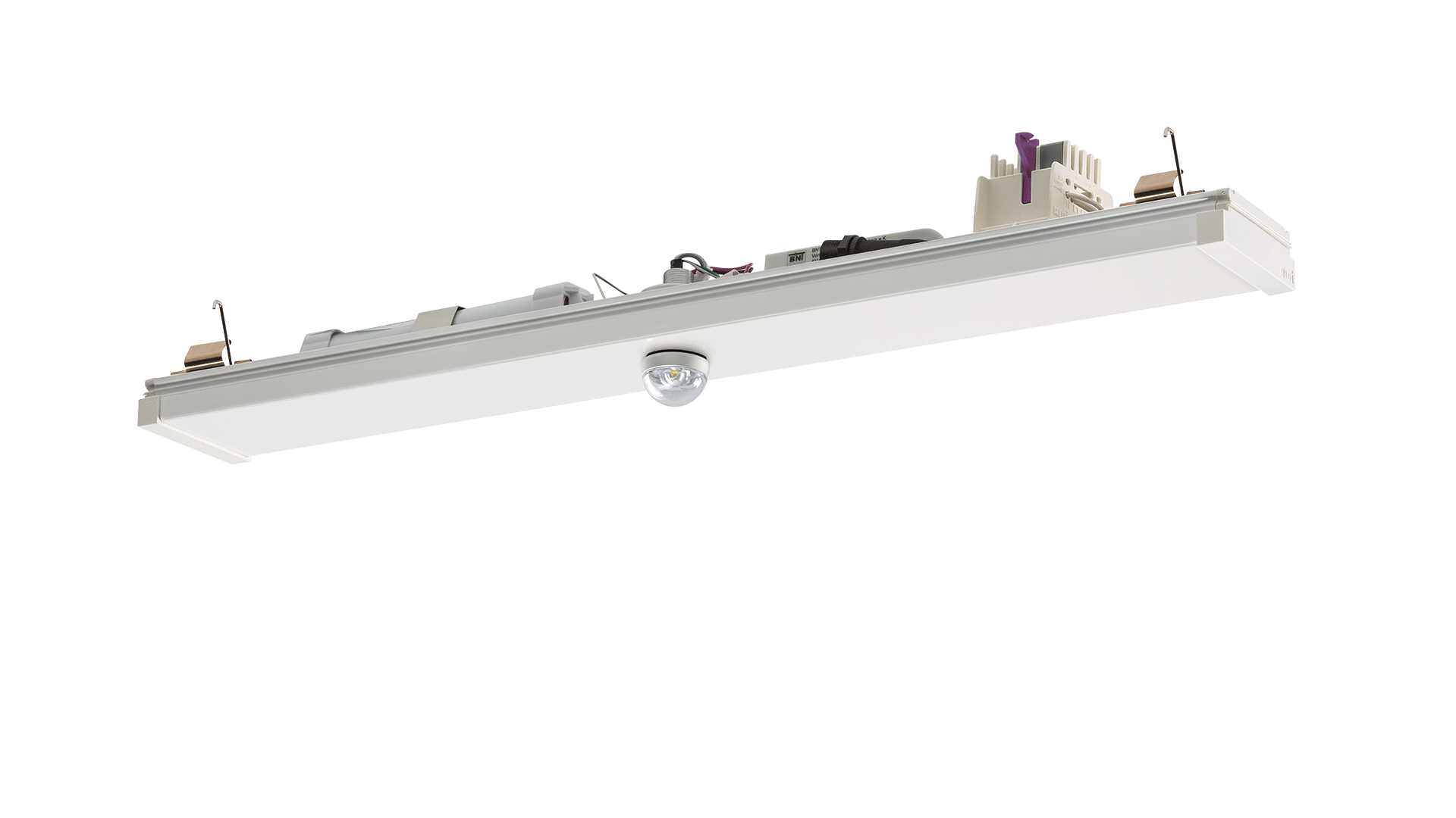 RIDI_VLMF-NL-BNT_500-7_web16