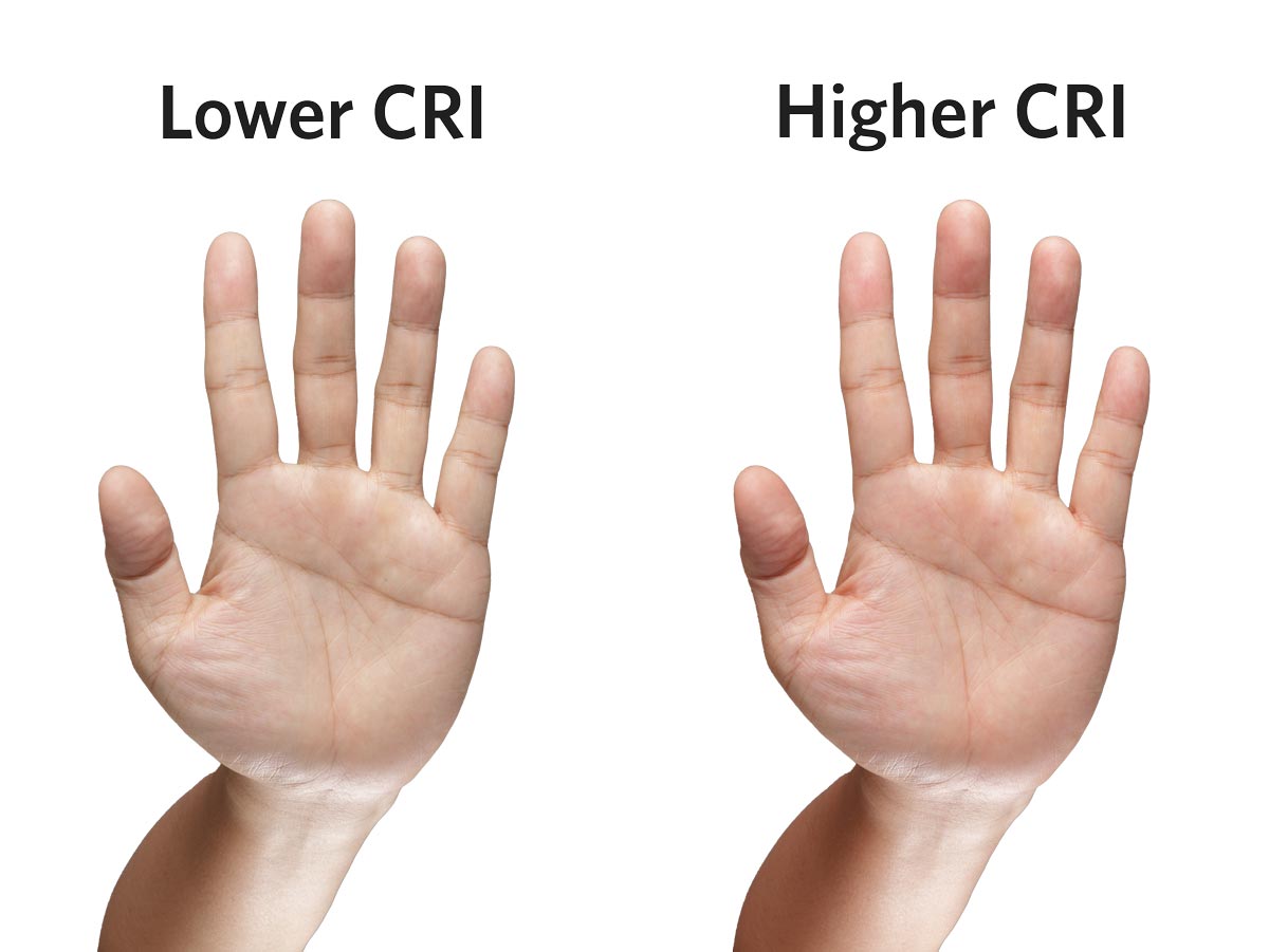 CRI-2 The optic types available