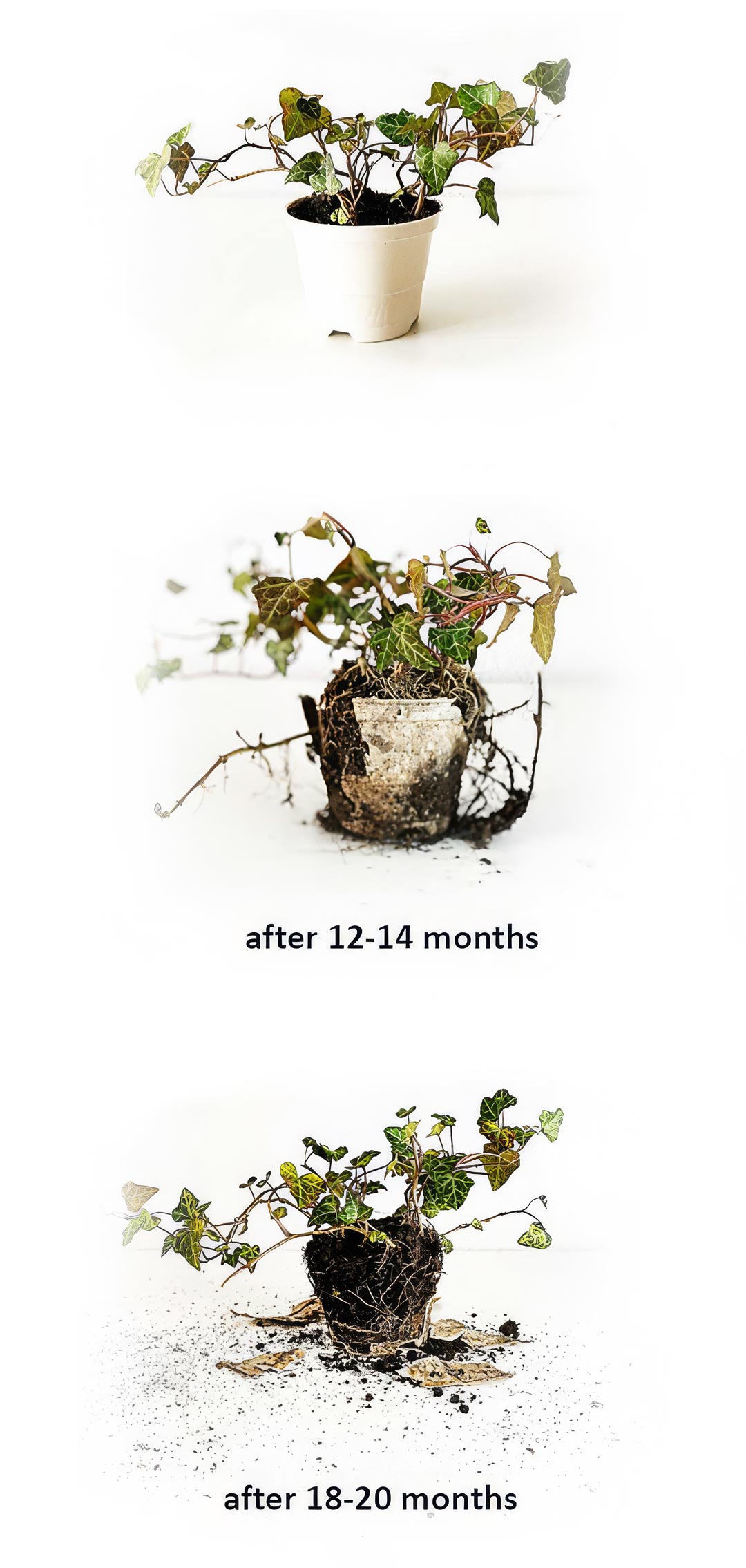 Compostable