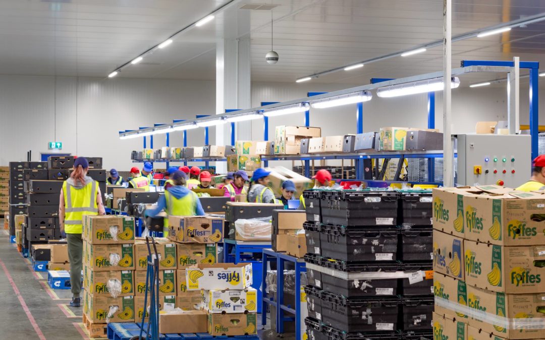 Banana Ripening Warehouse